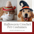 Halloween Crochet Pet Costumes - Crochet Animal Clothes