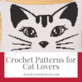 Crochet Patterns for Cat Lovers - Pretty Things By Katja