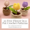 From the heart of spring to your home, explore 20 free crochet patterns for flowers in pots that are as delightful to make as they are to display. Click to learn more!