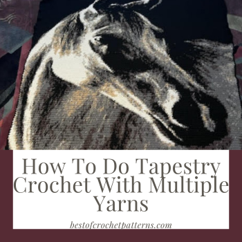 How To Do Tapestry Crochet With Multiple Yarns